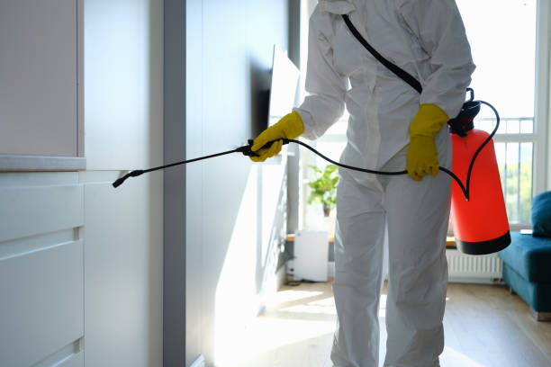 Mold Remediation for Rental Properties in Zolfo Springs, FL